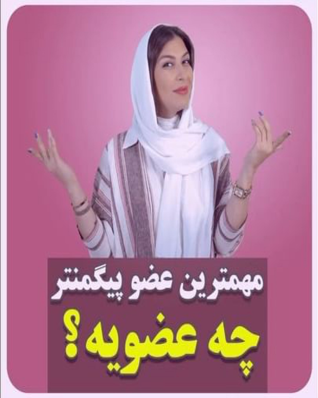 مهمترین عضو پیگمنتر چه عضویه؟